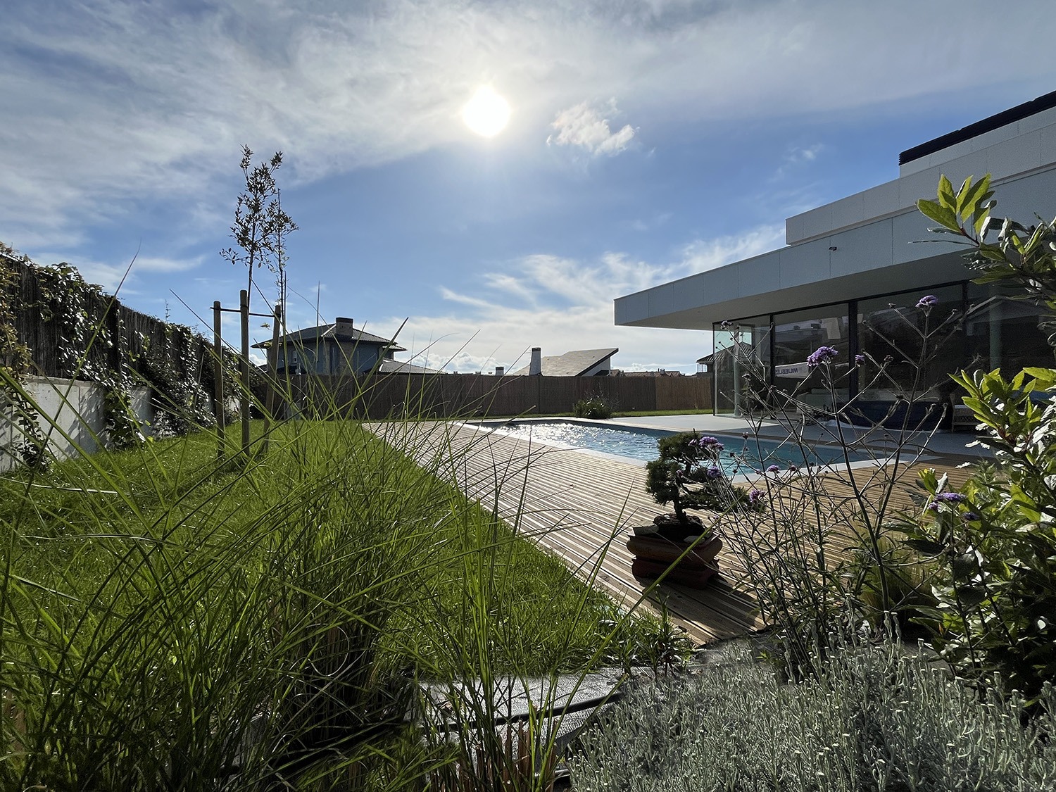 Jardín funcional con piscina, tarima de madera, césped y plantas ornamentales junto a una casa moderna.