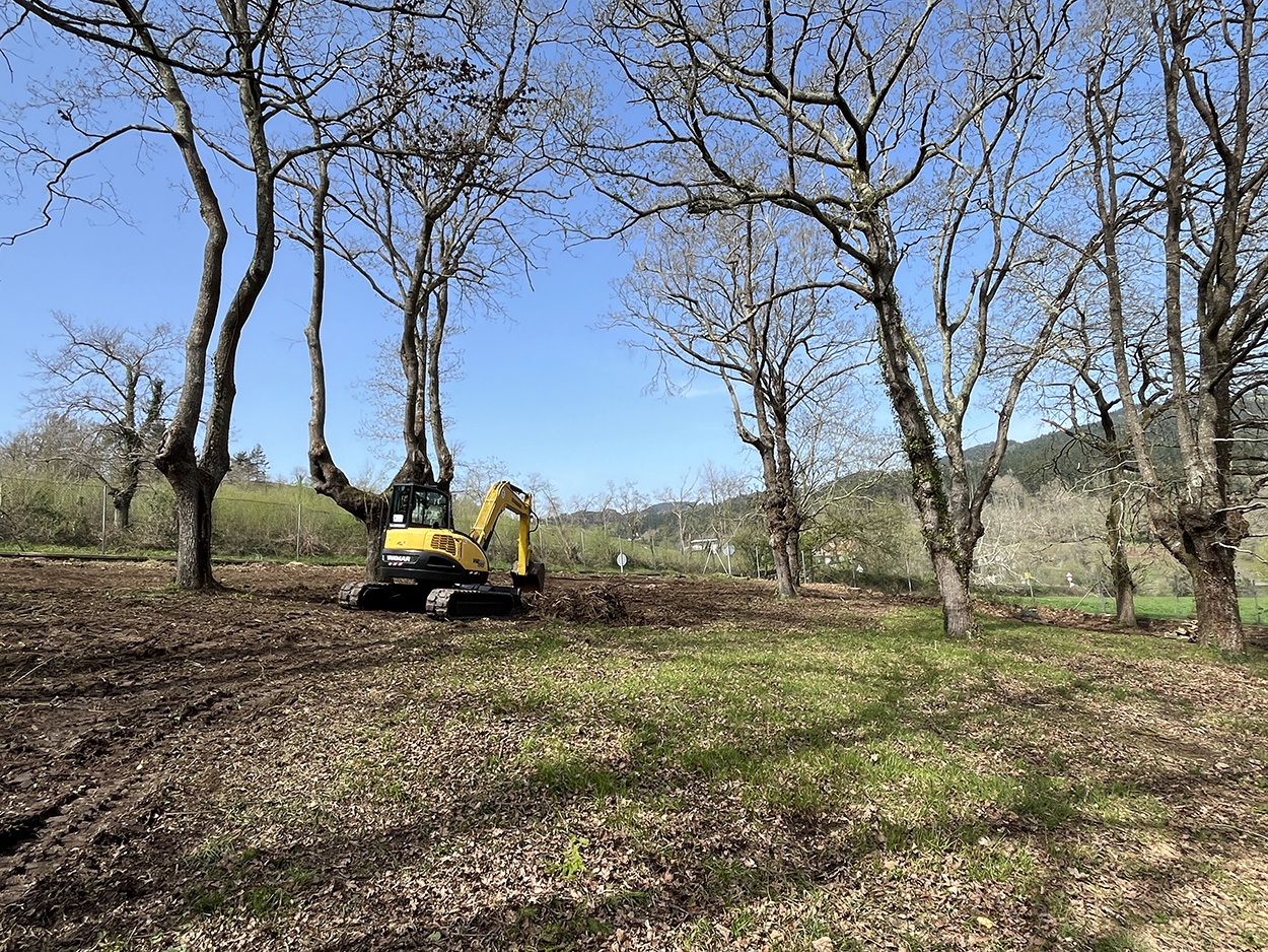 Recuperación paisajística con mini excavadora trabajando entre árboles y suelo despejado.