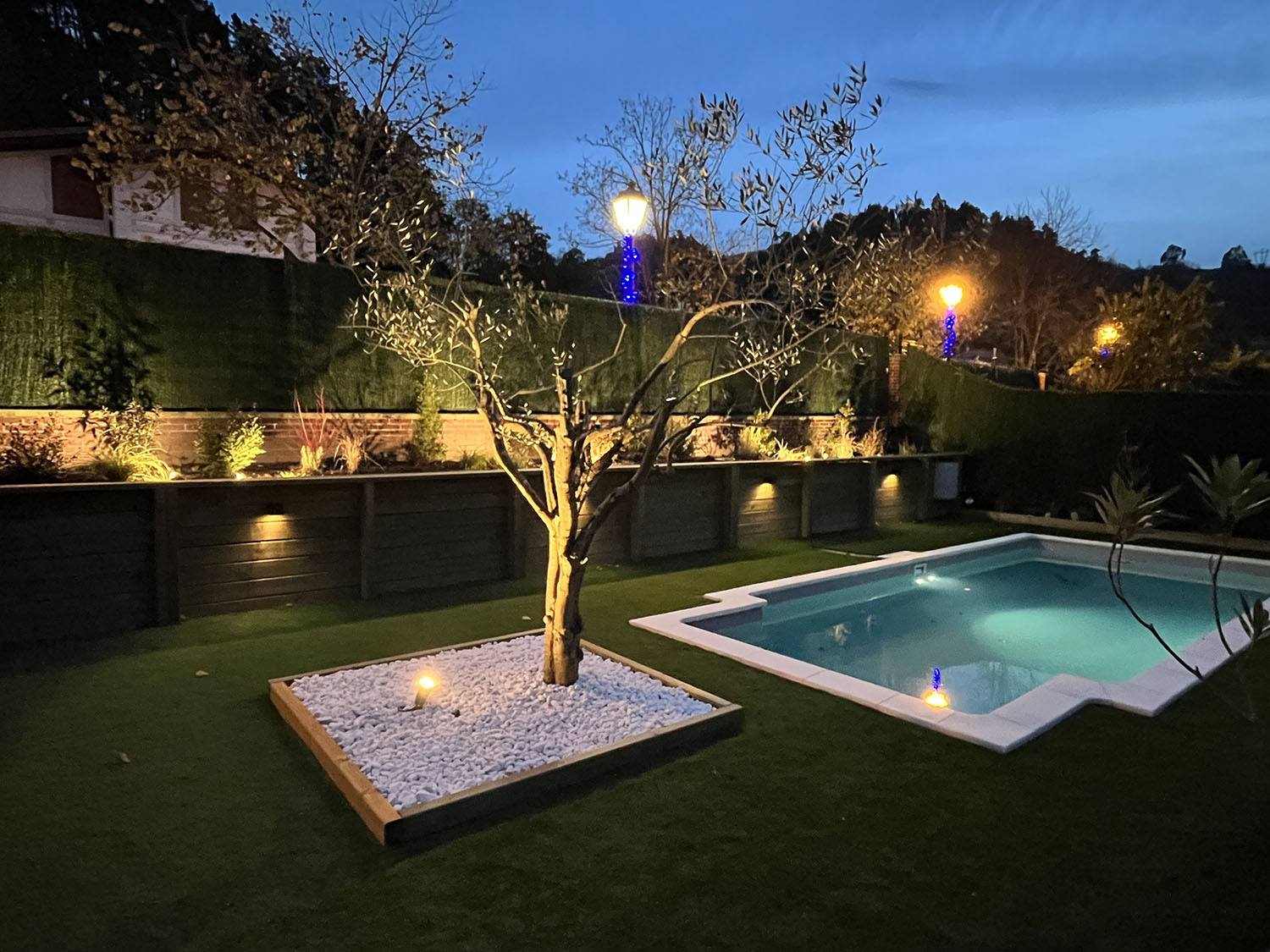 Jardín exterior funcional nocturno con piscina, olivo, grava blanca y césped iluminado.