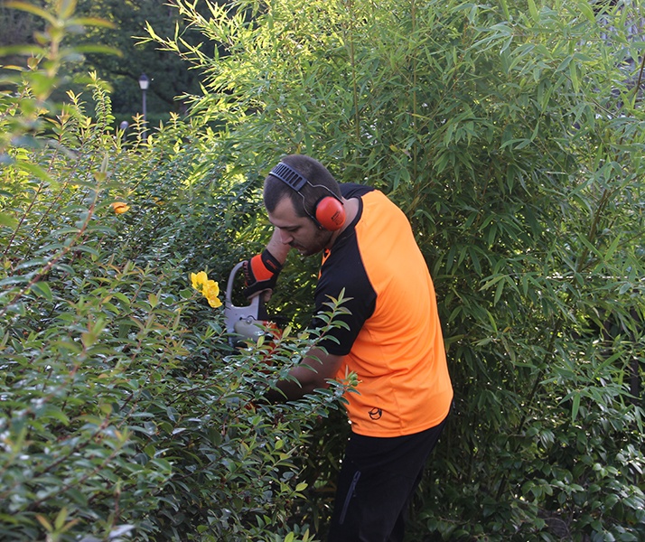 Trabajador de Quima podando arbustos en un jardín en Bilbao con equipo de protección