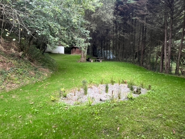 Jardín de lluvia con parterre de grava y plantas jóvenes en pradera junto a bosque.